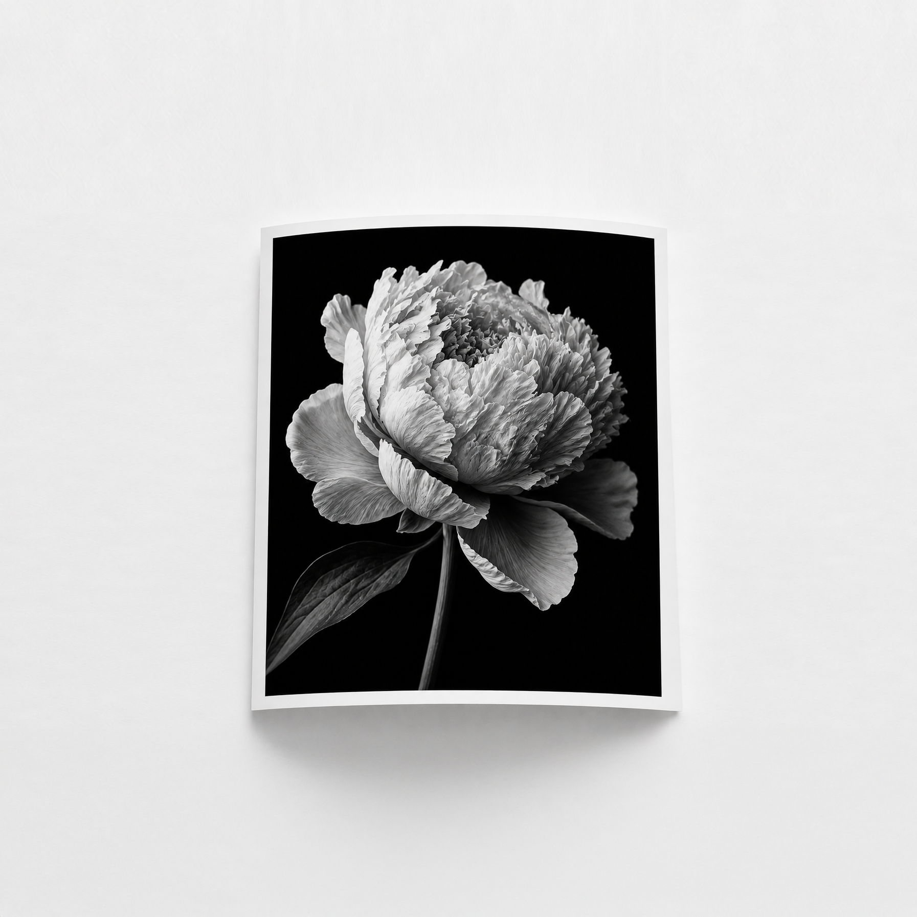Fine art test print — full image printed at a small 4 by 6 size
