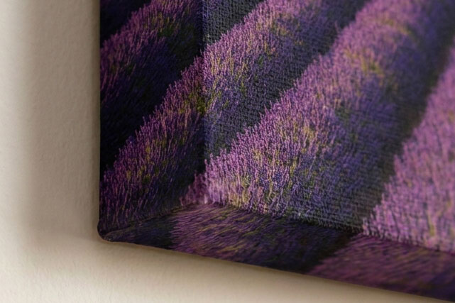 Gallery wrap canvas corner — the lavender field photo continues around the edge