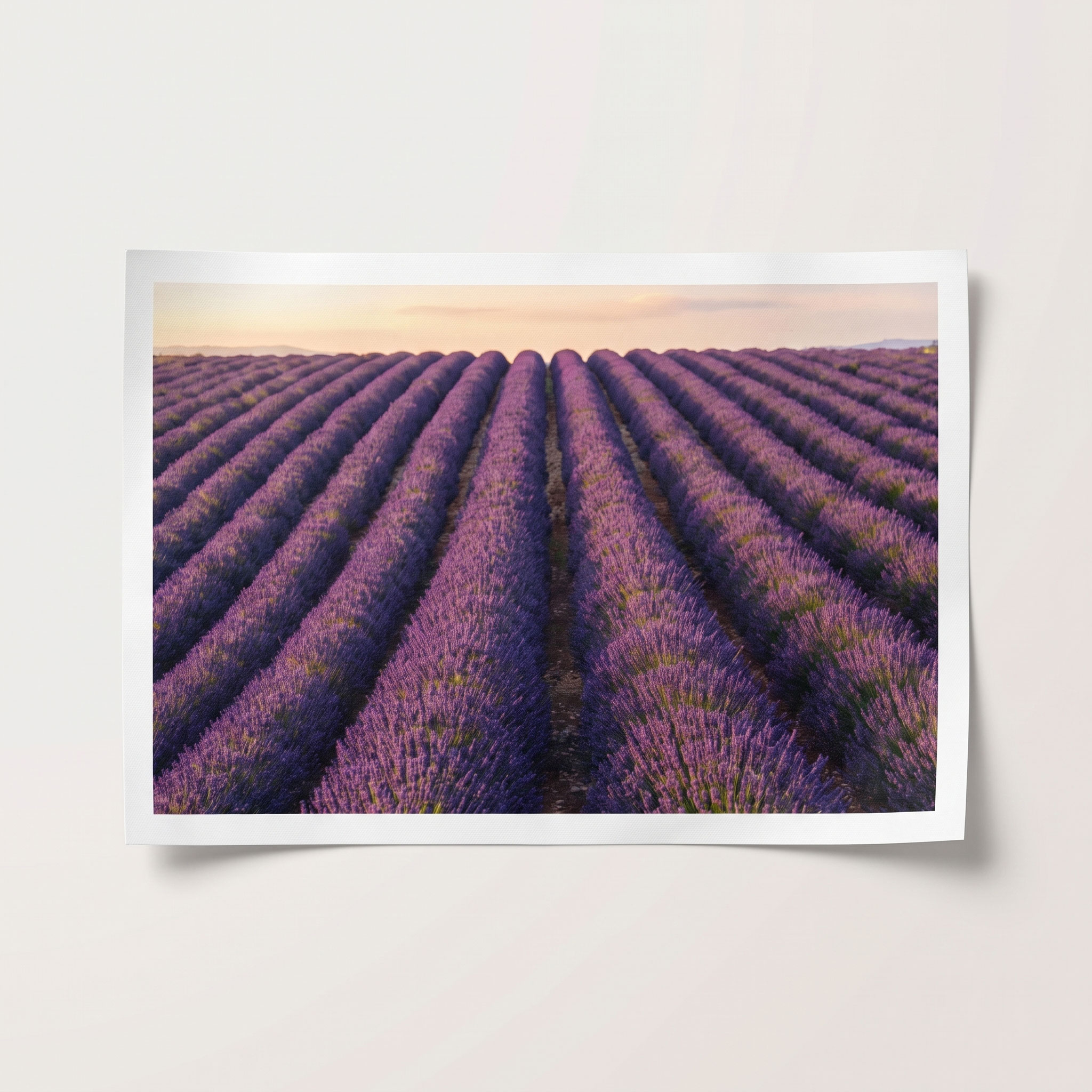 Small 4 by 6 canvas test print of a full image