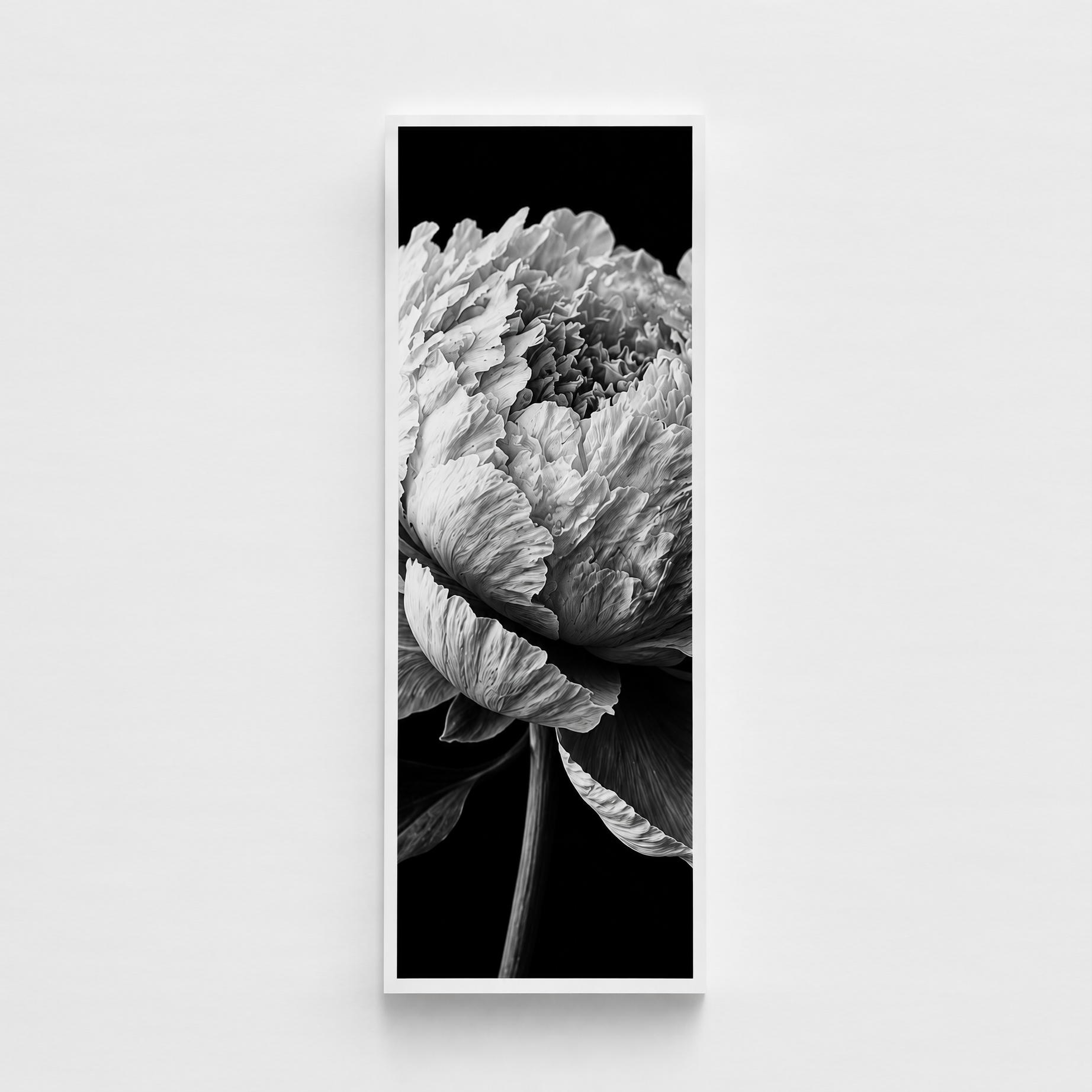 Fine art test strip — a 5-inch section of an image printed at full size